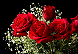 Roses